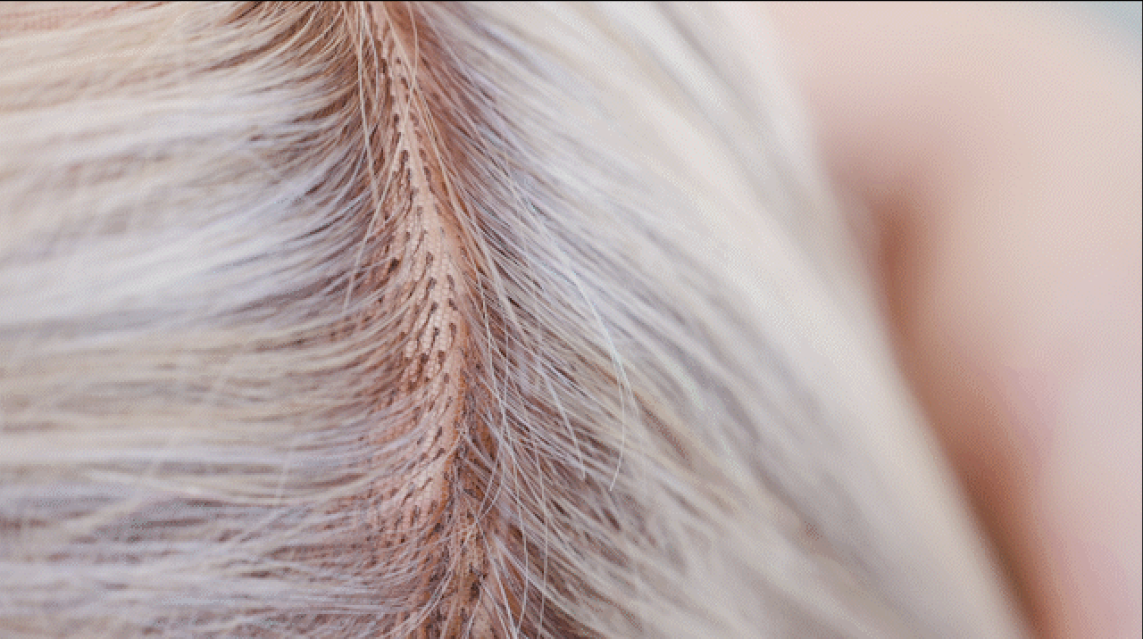 Wefted v. HandTied Wigs